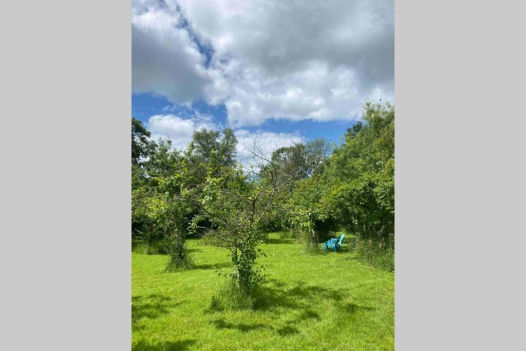 Gorgeous Comfortable Barn With Huge Private Orchard In Quiet Suffolk Location Depden Ngoại thất bức ảnh