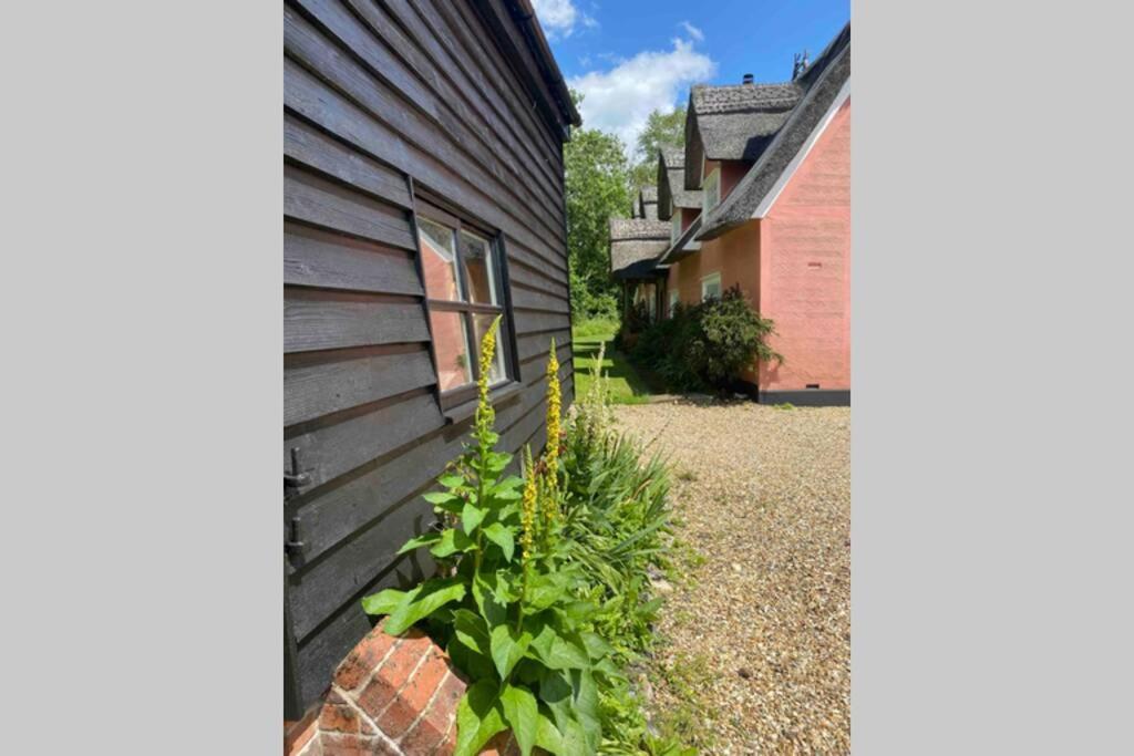 Gorgeous Comfortable Barn With Huge Private Orchard In Quiet Suffolk Location Depden Ngoại thất bức ảnh